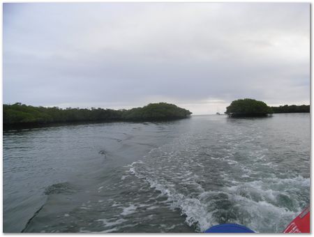 Galapagos Islands, Ecuador, Charles Darwin, Evolution