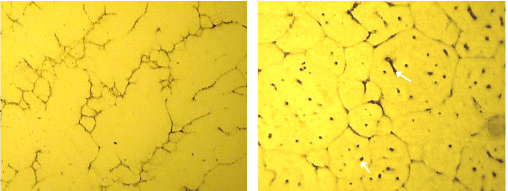 Feasibility study For thixoforming nanostructured bainitic steels