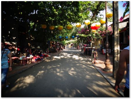 Wilberth Alvarez-Solano, Vietnam, Cambodia, Laos, elephants