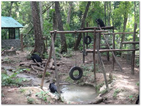 Wilberth Alvarez-Solano, Vietnam, Cambodia, Laos, elephants