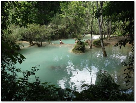 Wilberth Alvarez-Solano, Vietnam, Cambodia, Laos, elephants