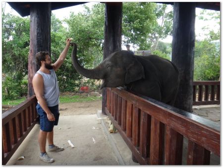 Wilberth Alvarez-Solano, Vietnam, Cambodia, Laos, elephants