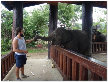 Wilberth Alvarez-Solano, Vietnam, Cambodia, Laos, elephants