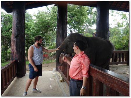 Wilberth Alvarez-Solano, Vietnam, Cambodia, Laos, elephants