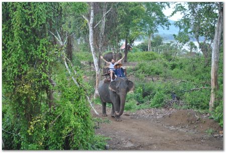 Wilberth Alvarez-Solano, Vietnam, Cambodia, Laos, elephants