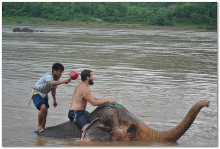 Wilberth Alvarez-Solano, Vietnam, Cambodia, Laos, elephants