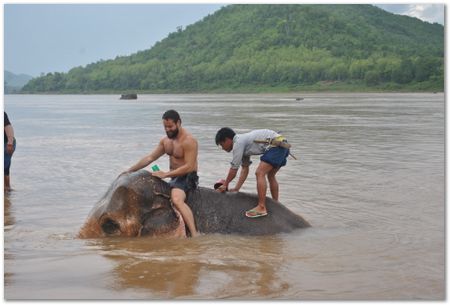 Wilberth Alvarez-Solano, Vietnam, Cambodia, Laos, elephants