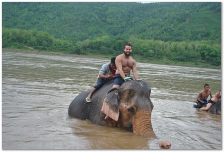 Wilberth Alvarez-Solano, Vietnam, Cambodia, Laos, elephants