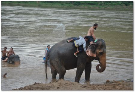 Wilberth Alvarez-Solano, Vietnam, Cambodia, Laos, elephants