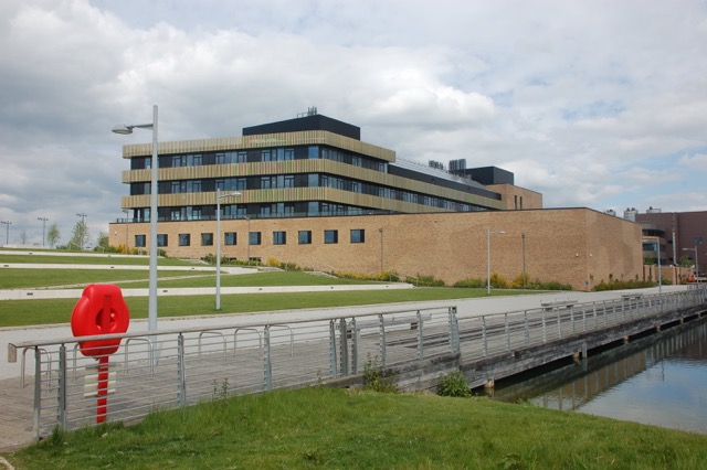 rabbits, ducklings, Materials science and metallurgy, university of cambridge