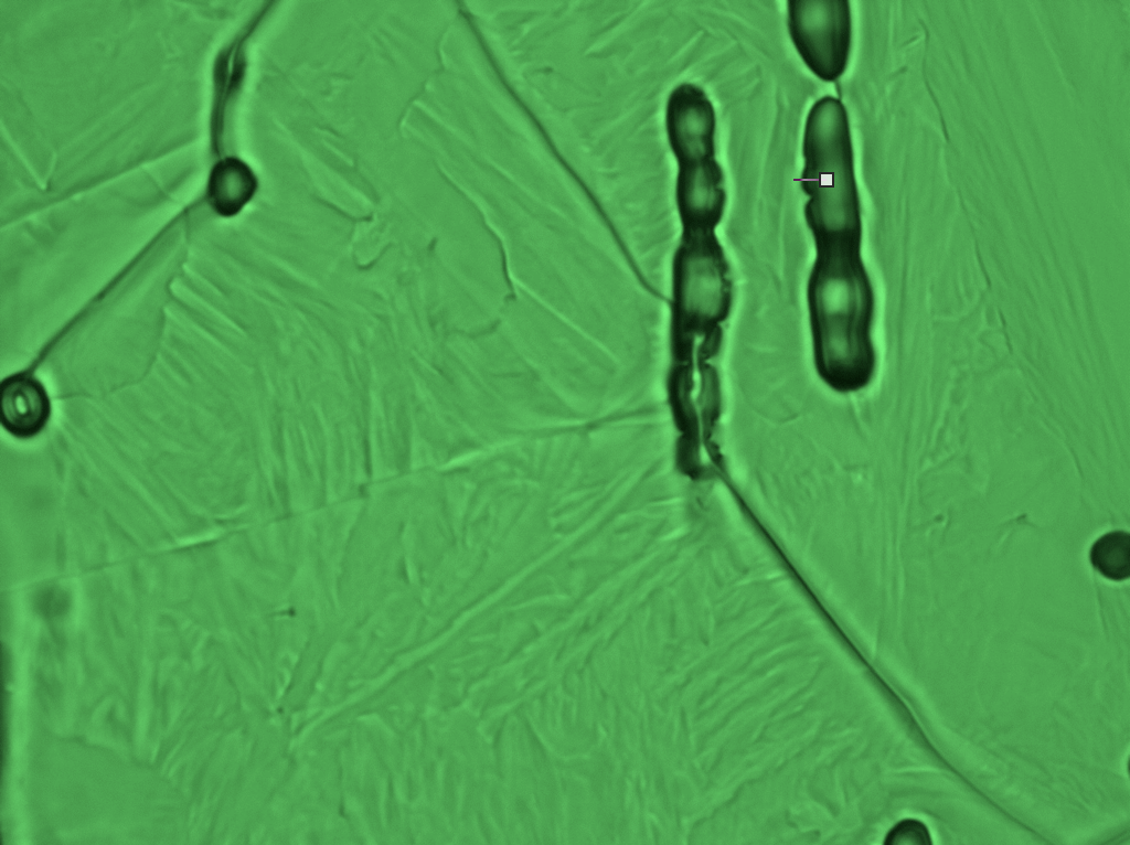 manganese sulphide pinning austenite grain boundaries