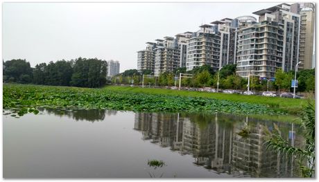 Harry Bhadeshia, Wuhan, China, Wuhan University of Science and Technology, WUST, Steels, Physical Metallurgy, 2017