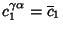 $c_1^{\gamma \alpha}=\overline{c}_1$