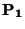 ${\bf P_1}$