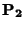 ${\bf P_2}$