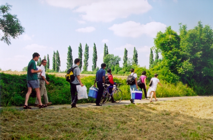 picnic