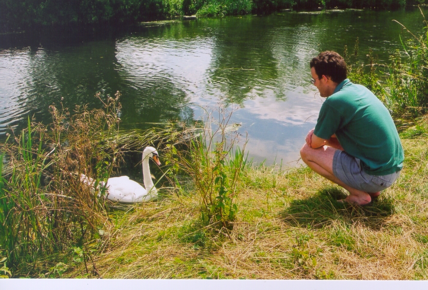 picnic