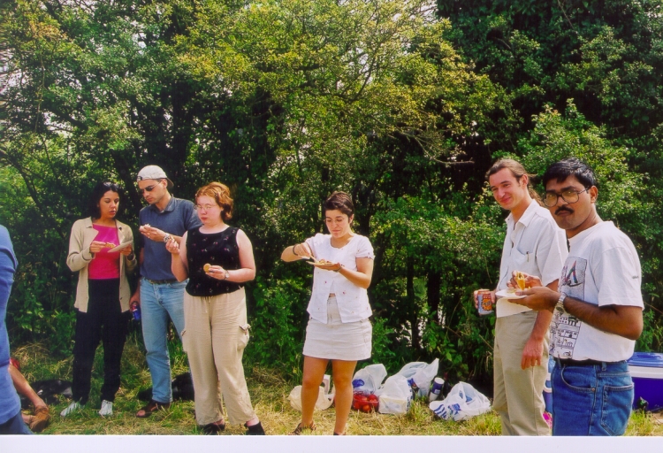 picnic