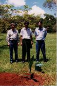 tree planting