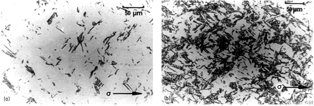 Microstructure of allotriomorphic ferrite