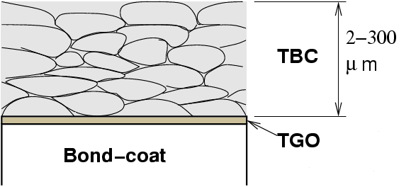 Typical microstructure of APS deposited TBC