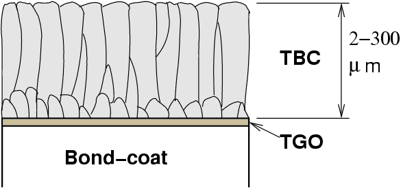 Typical microstructure of EBPVD deposited TBC