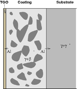 Schematic microstrucutre of an MCrAlY coating