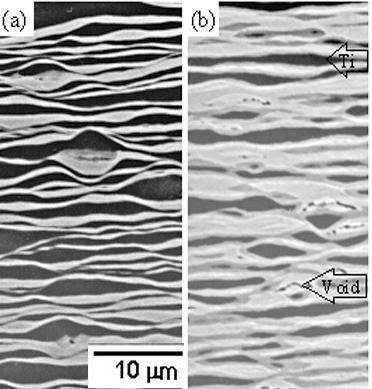 Shape Memory Martensitic Alloy