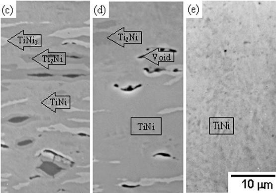 Shape Memory Martensitic Alloy