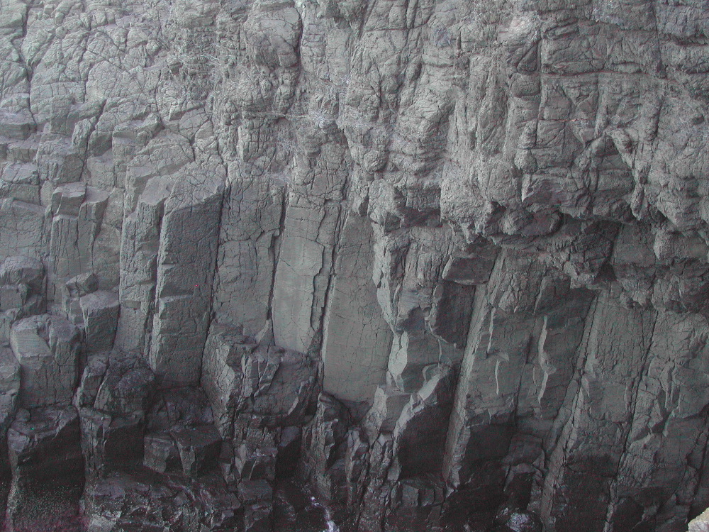 DSCN4798.JPG