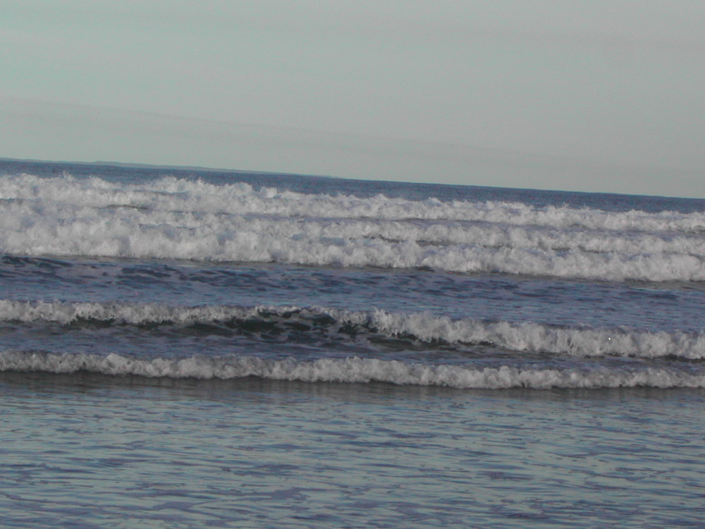 DSCN4806.JPG