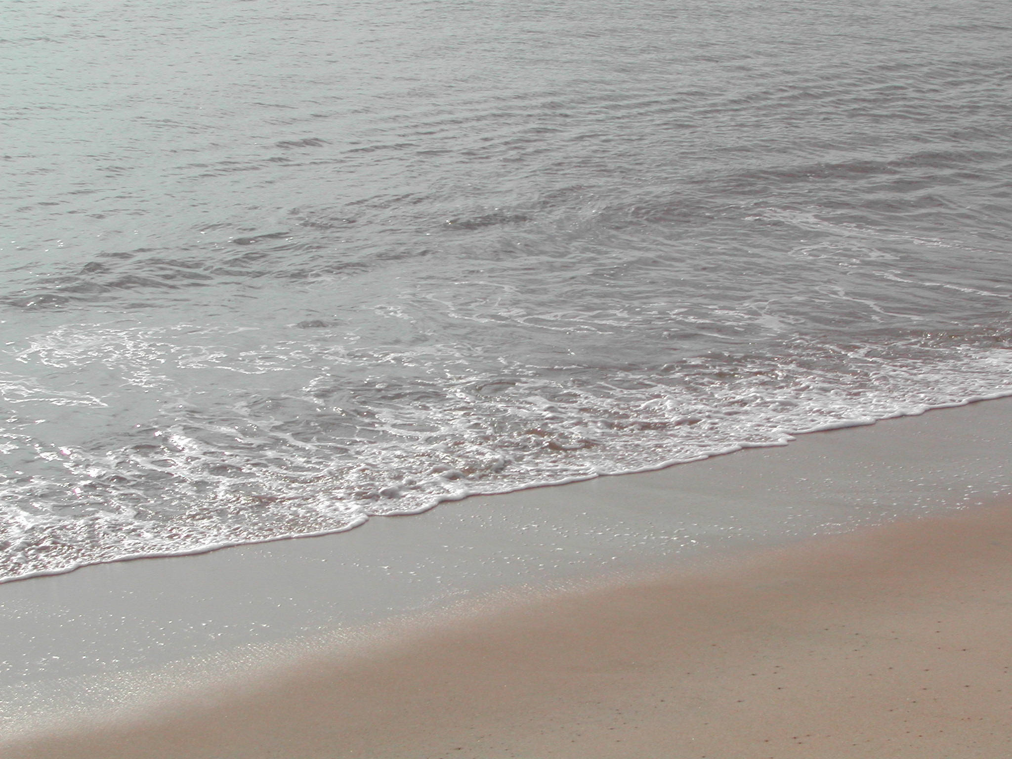 The beach, early morning