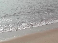 The beach, early morning