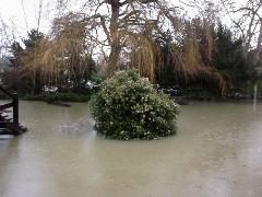 floods11