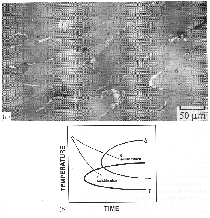 \includegraphics[width=15cm]{Fig1.eps}