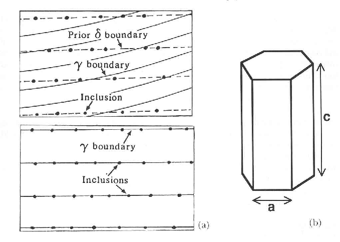 \includegraphics[width=15cm]{Fig2.eps}