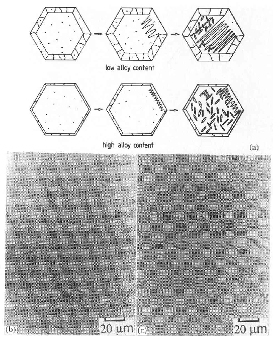 \includegraphics[width=12cm]{Fig12.eps}