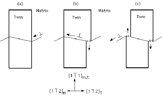 \includegraphics[width=12cm]{fig6.eps}