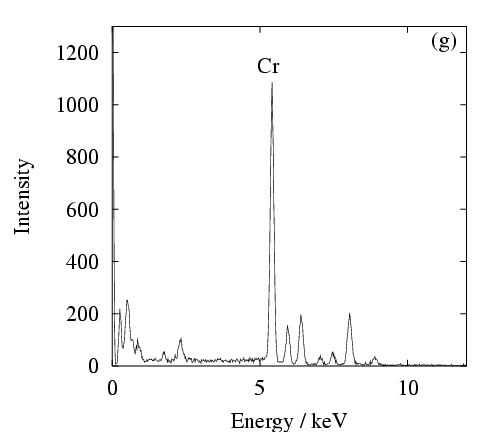 NF709_5g