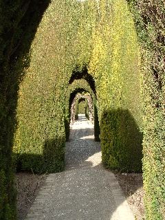 El Generalife_1