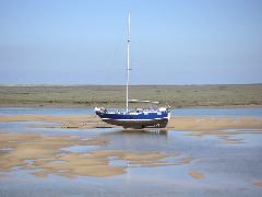 050515_wells_next_sea_023