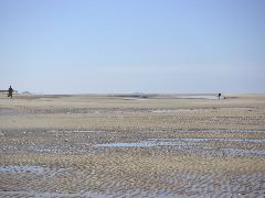 050515_wells_next_sea_032