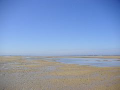 050515_wells_next_sea_034