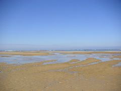 050515_wells_next_sea_036