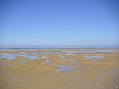 050515_wells_next_sea_037