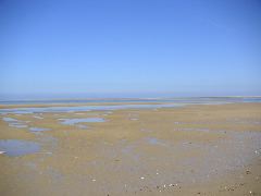 050515_wells_next_sea_038