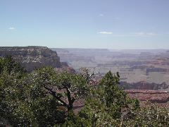 DSCN7196.JPG