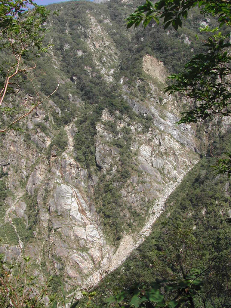 DSCN8981.JPG