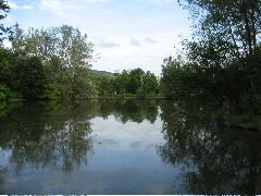 A beautiful pond on campus