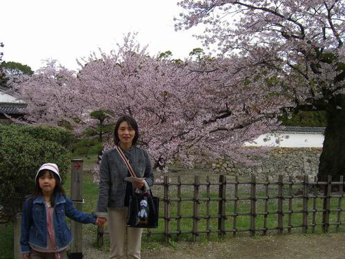 3Himeji_Castle04